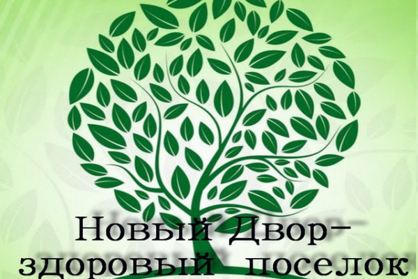 Новый Двор – здоровый агрогородок