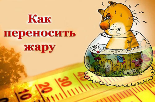 Как легче перенести жару